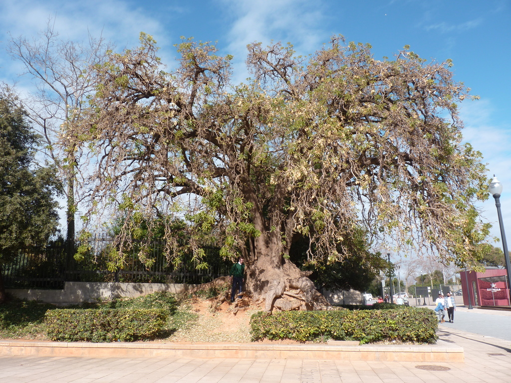 No s'ha trobat l'arxiu